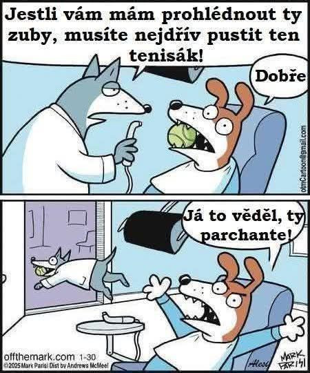 Vichcaný pes :)